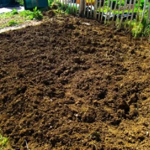 Buy Cow Dung Manure Online