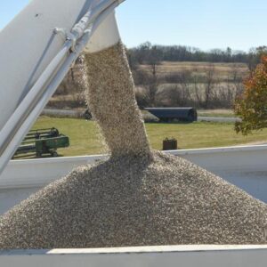 Buy Phosphate Fertilizer wholesale